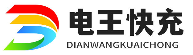 深圳市電王快充技術服務有限公司